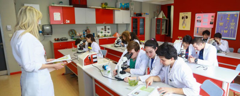 Wissenschaft